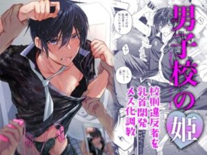 Princess of Boys’ School: Feminization Training