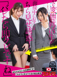 “Instant Firing If Caught” – Perverted Job Seeker Flashes During Interview