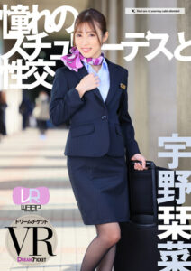VR Stewardess Fantasy with Akina Uno – WAAP Group VR Renewal