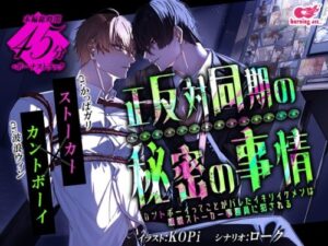 Opposites in Sync: The Secret Affairs of a Fake Handsome