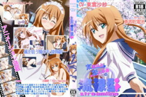 More Than Friends, Less Than Lovers – Streamline