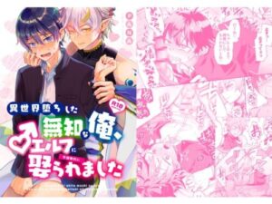 Wedded and Bedded By A Male Elf After My Isekai Teleport