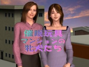 Hypnotic Toys: Apartment Bitches