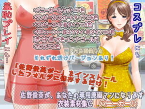 Sano Toshihide Personal Artist – Bunny Girl Costume Set C