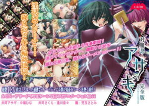 Demon Fighter Asagi Complete Edition