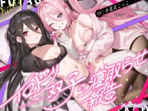 Colorful Twins NTR Report