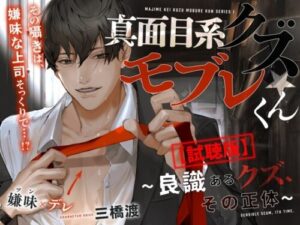 Stupid Erotic Sex Play: Mob Boy & Tsundere Boss
