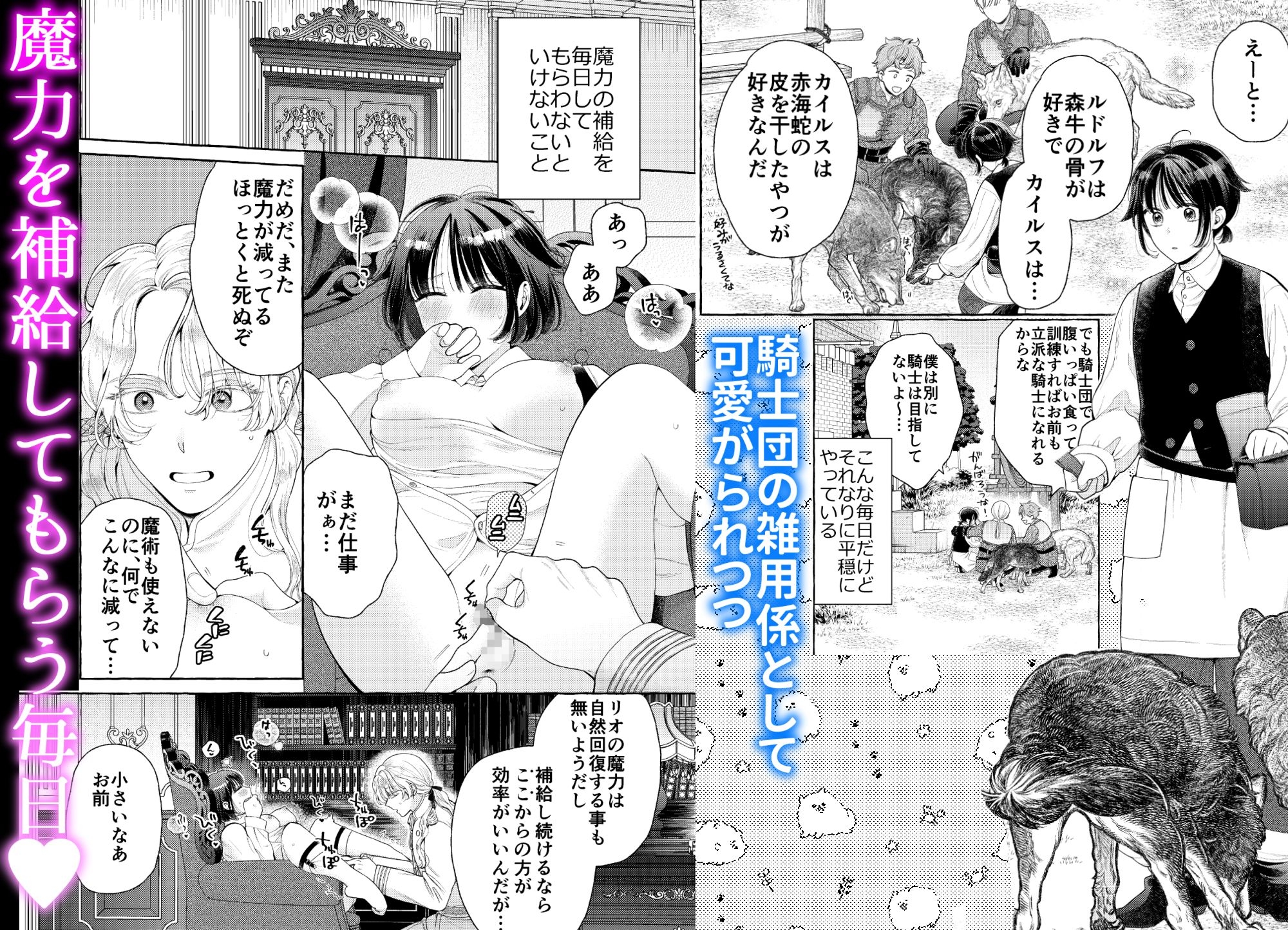 Knight Order's Puppy