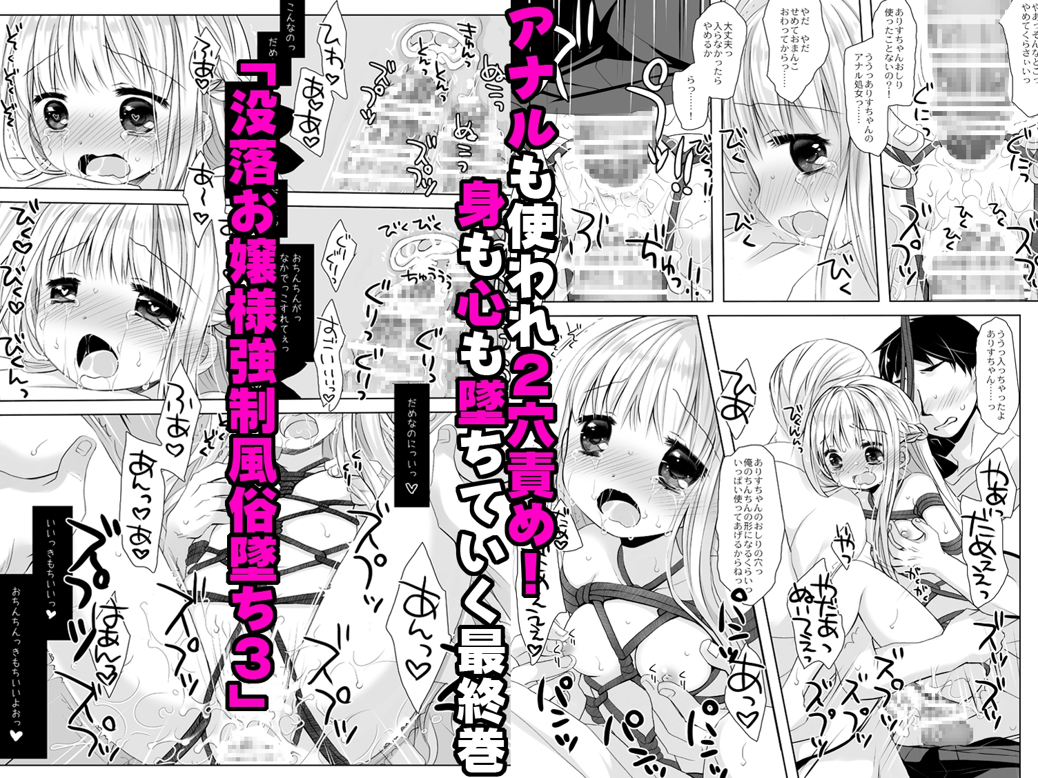 Fallen Young Lady +α Complete Collection - Sakurasawa Izumi
