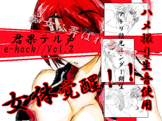 e-hack//vol.2 You'll Hear Their Voices
