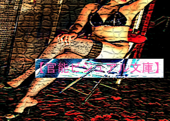 Sensual Visual Library [Kobora Company]
