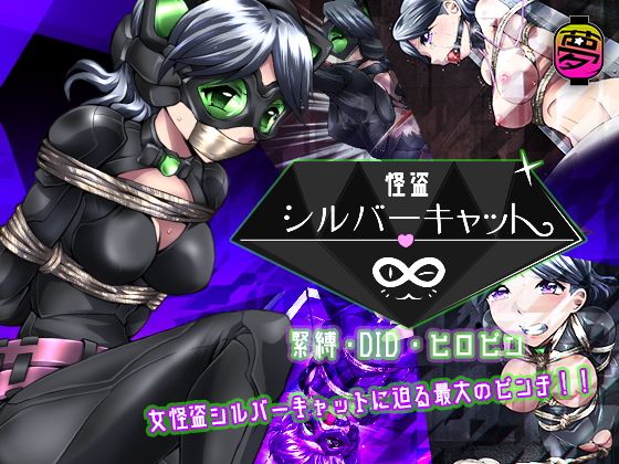 Female Phantom Thief Silver Cat