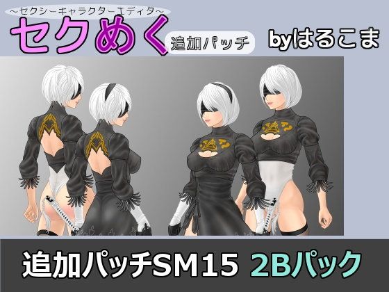 Additional Patch SM15 2B Pack (harukoma)