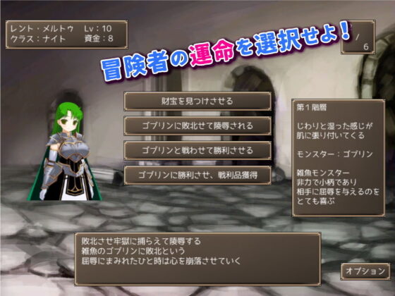Maids Maze Choice ~Succubus's Designs on Fate~