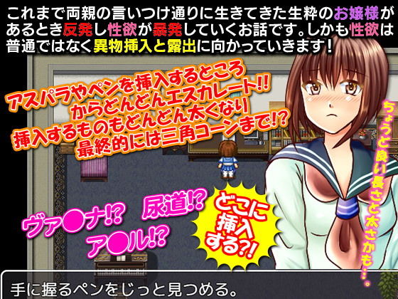 Exposure Expansion deGokigen'yo - The Young Lady's Insertion Mania