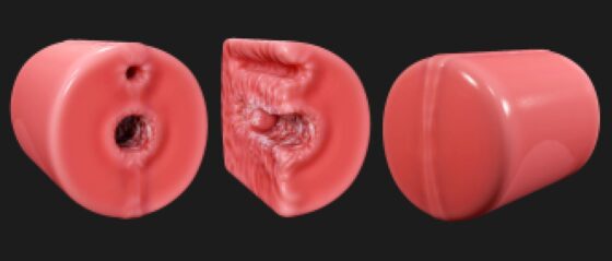 Vaginal Cross-Section for Haru