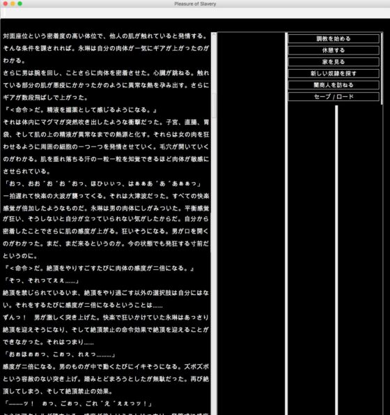 Touhou Ruin Chronicle Complete Collection Vol.1-3