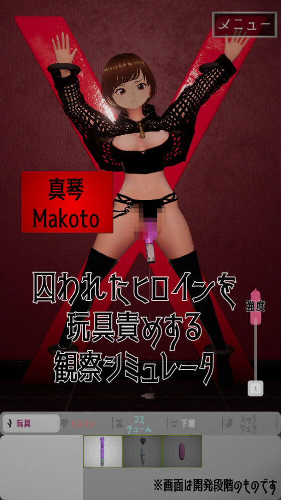 Heroine Toy Torment Simulator