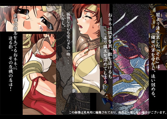Musou OKUSAMA Ver2.0 [ADVANCED Twinkle☆Castle + Ninja Castle GIGA]