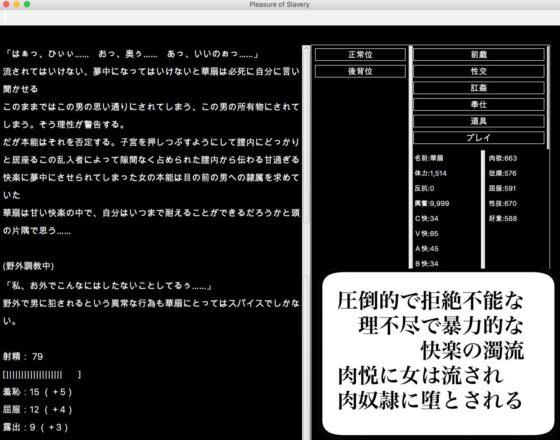 Touhou Ruin Chronicle Complete Collection Vol.1-3