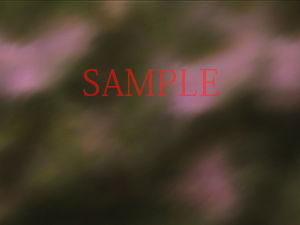 Royalty-Free Background CG Material: Tennis Court