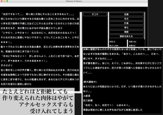 Touhou Ruin Chronicle Complete Collection Vol.1-3