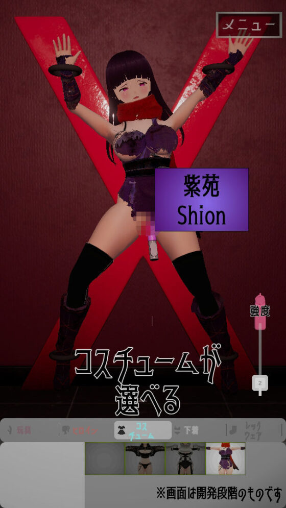 Heroine Toy Torment Simulator