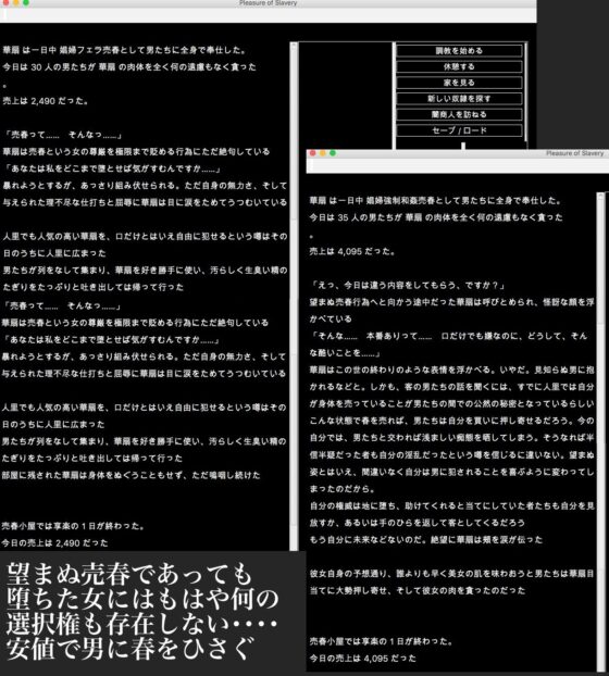 Touhou Ruin Chronicle Complete Collection Vol.1-3