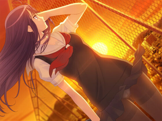 Fault!! S - A New Rival (DL Version)