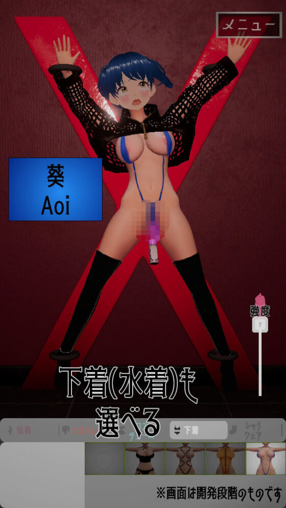 Heroine Toy Torment Simulator