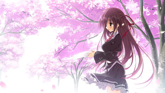 Sakura no Uta + Wonderful Everyday FVHD Edition Bundle
