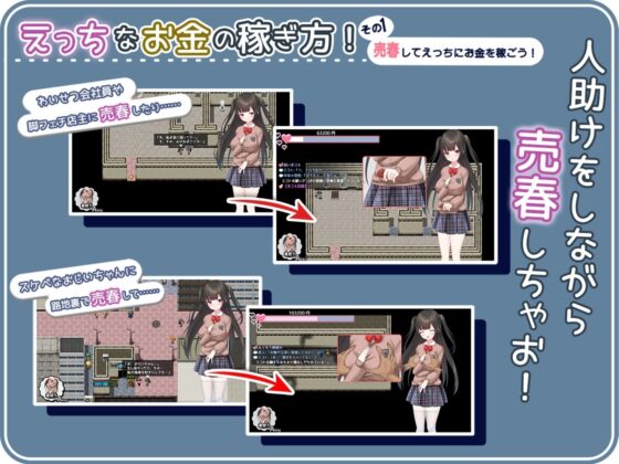 Seiso the Bitch ~Pure Girl's Sexual Harassment Prostitution~