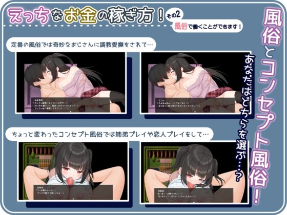 Seiso the Bitch ~Pure Girl's Sexual Harassment Prostitution~