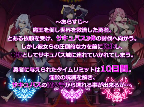 Succubus Casino ~Demon Castle Succubus~