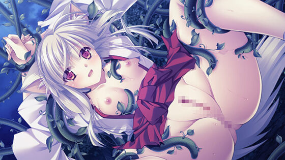 Debono Yado Studio 15th Anniversary Bundle Sale - Pick 10 for 10,000 Yen