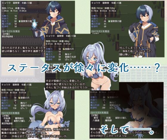 TS Monster Girls Regional Edition (Bamboo Shoot in Tea Field)