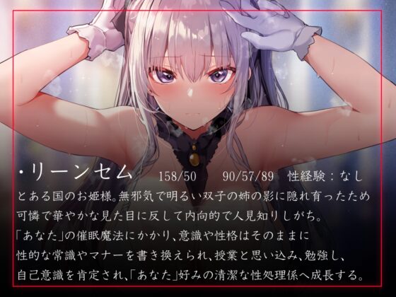 Princess Reprogramming: Obedient Service Companion [100 Yen Limited]