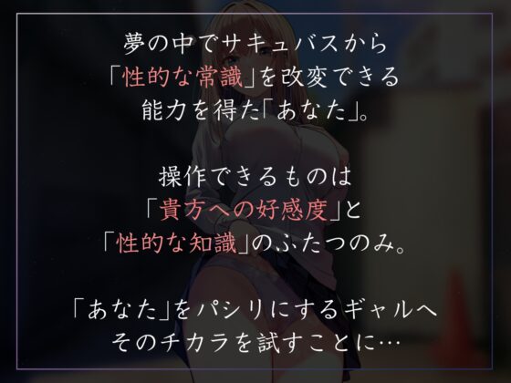 Reprogramming the Gyaru's Common Sense - Special Heresy Price