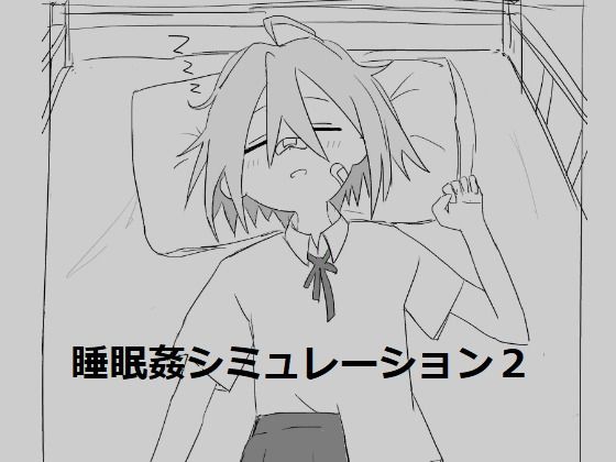 Sleep Assault Simulation 2