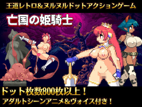 Princess Knight Elis of the Fallen Nation Ver1.1