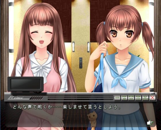 Elevator Sisters