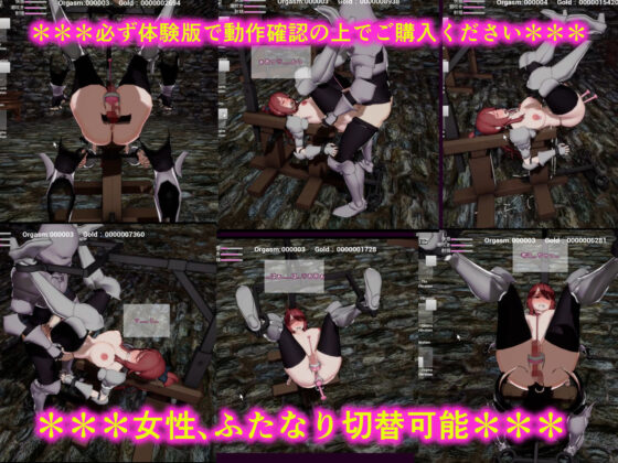 Female Knight Amelia and the Dark Organization ~Real-time 3D Restraint Simulator~