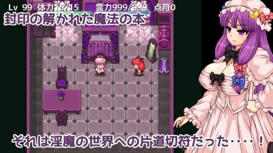Patchouli and the Succubus Grimoire