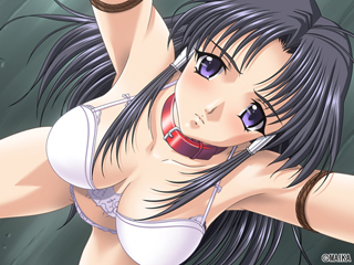 [DL Version] Super Light Squadron Justice Blade Series Pack