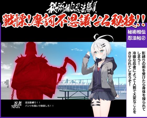 Secret Technique Succession Ninja Battle [DL Play Box]