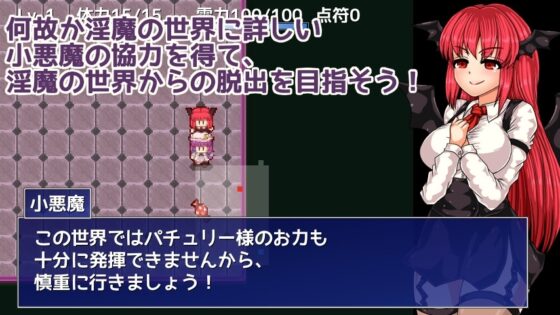 Patchouli and the Succubus Grimoire