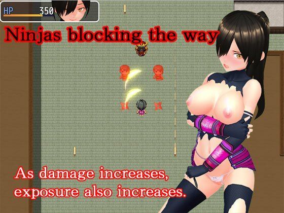 NTR Kunoichi Ayame - Recover the Village Secret Book!