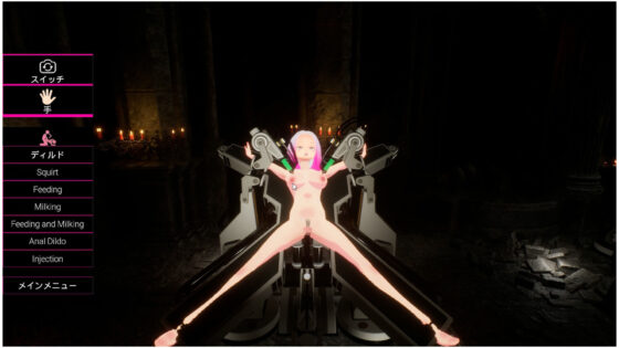 Heaven's Dream Another - 3D Sex Simulator