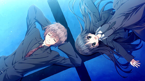 Sakura no Koku: Walking Beneath the Forest of Sakura