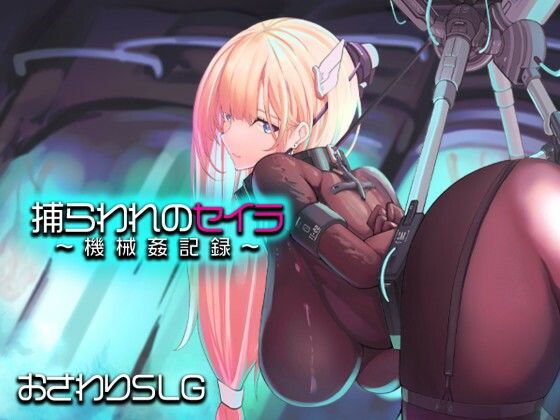 Captive Seila: Machine Violation Records